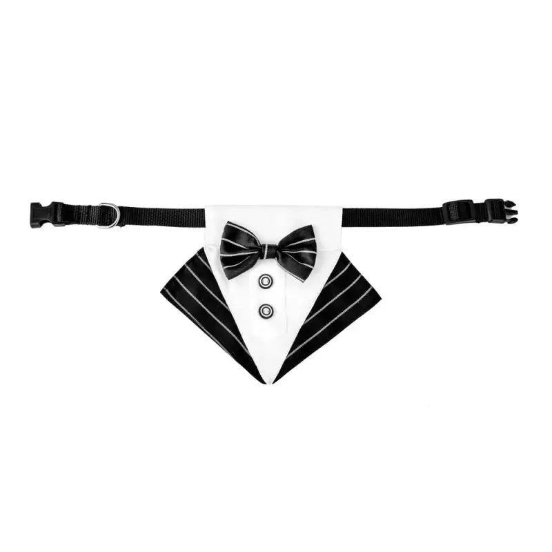 Gros plan du nœud papillon collier sur la ceinture - Chic Bow Tie Collar for Dogs