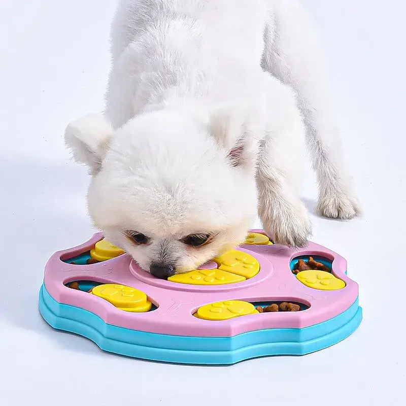 Un petit chien blanc savoure le repas d’un distributeur de casse-tête pour chiens, qui lui procure une stimulation mentale