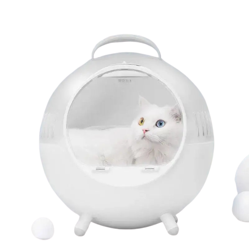 Sac De Transport Pour Un Chat Voyageur Paisible Et Serein - Blanc Transparent Background