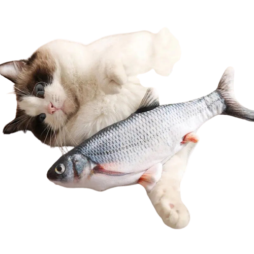 Poisson pour chat | CatsFish™ Transparent Background