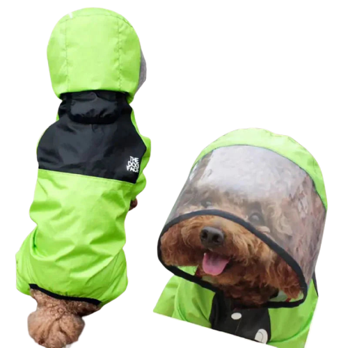 Chien portant un imperméable vert avec capuche transparente pour chiens - Protection optimale Transparent Background