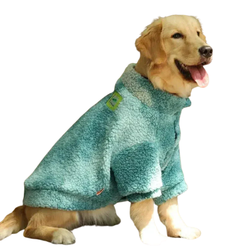 Grand chien dans un manteau bleu assis sur un tapis - Manteau d’hiver chaud pour grands chiens Transparent Background