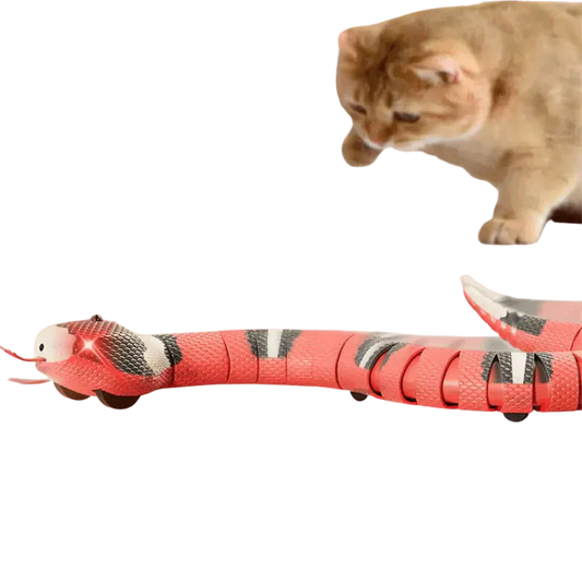 Chat jouant avec un serpent jouet interactif sur le sol Transparent Background