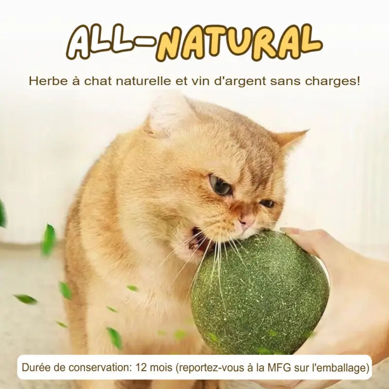 Kjempestor Kattemyntekule for Aktiv Lek og Moro