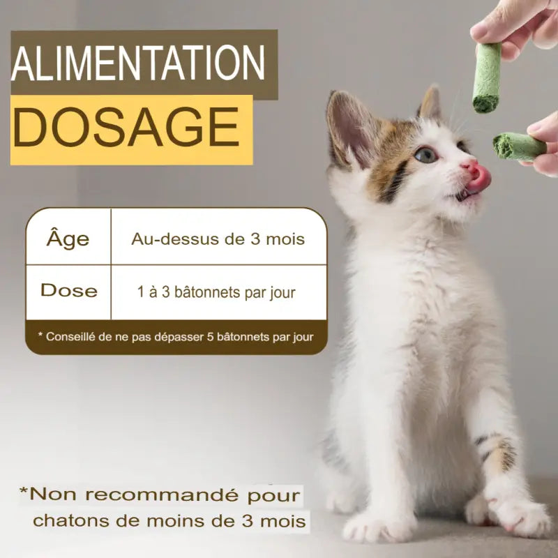 Bâton de Dentition à Herbe Chat pour Chats