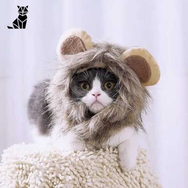 Bonnet pour Chat Cosplay Lion