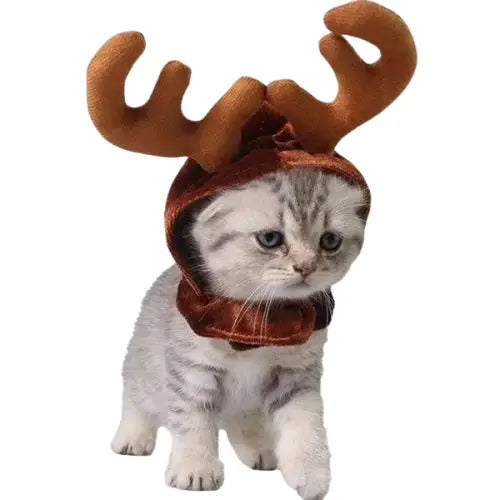 Bonnet pour Chat Renne de Noël Transparent Background
