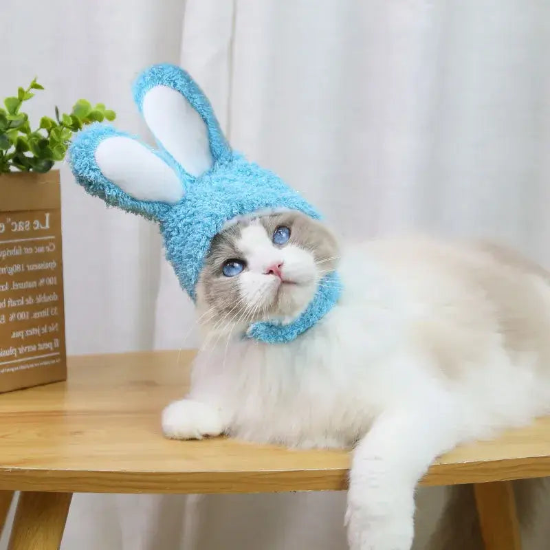 Adorable chat coiffé d’un bonnet de lapin bleu de la collection Soft and Cute Bunny Hat pour plus de douceur