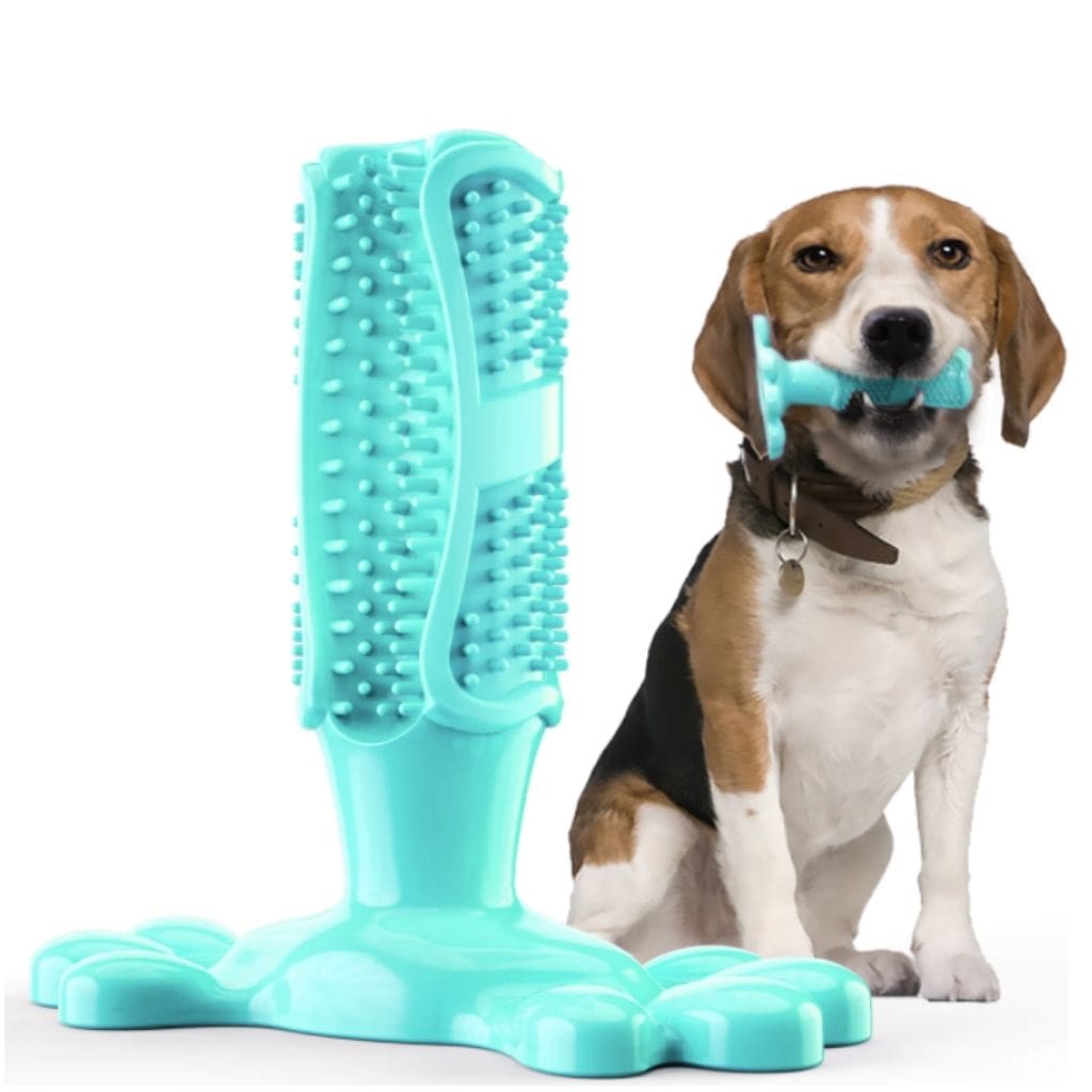 Brosse à dents pour chien