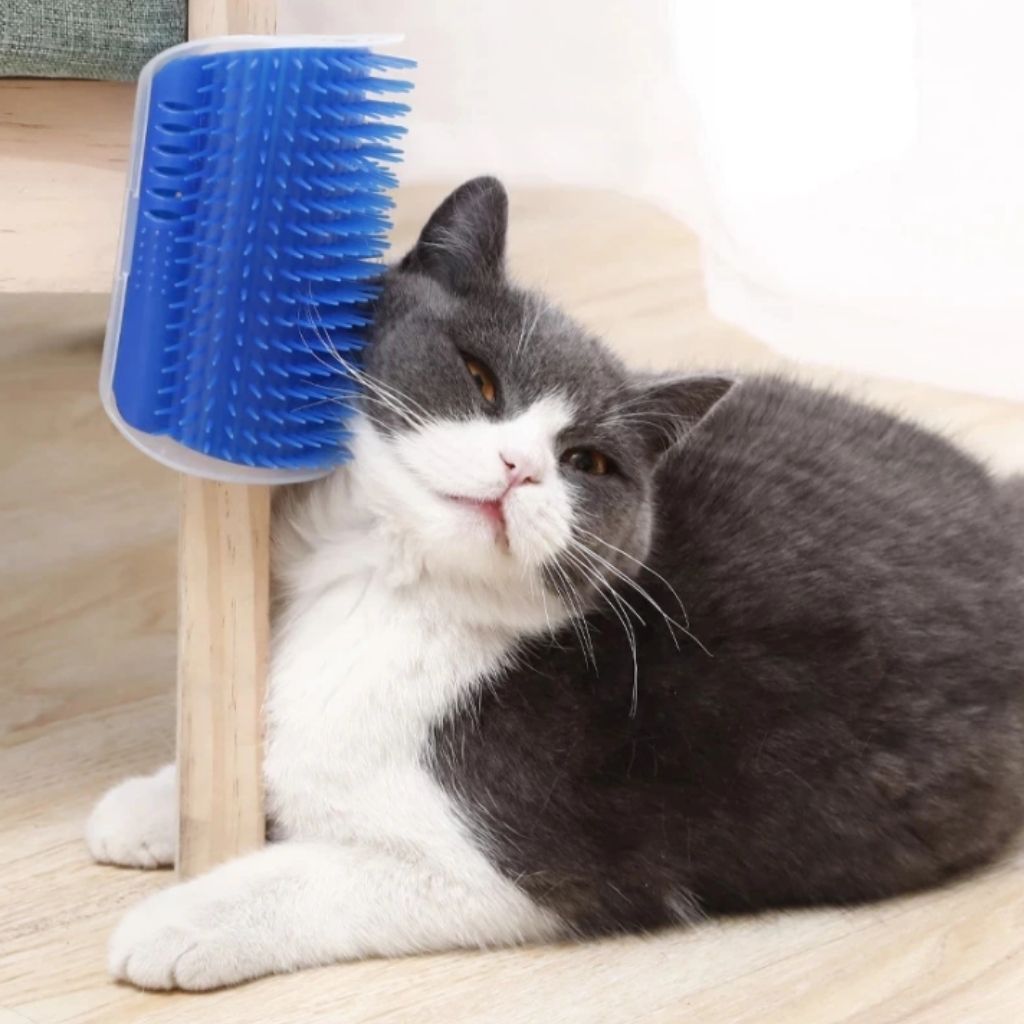 Brosse de massage à fixer pour chat