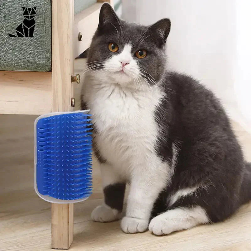 Un chat assis sur le sol avec une brosse, utilisant la brosse pour chats Easily Fixed Brush for Cats