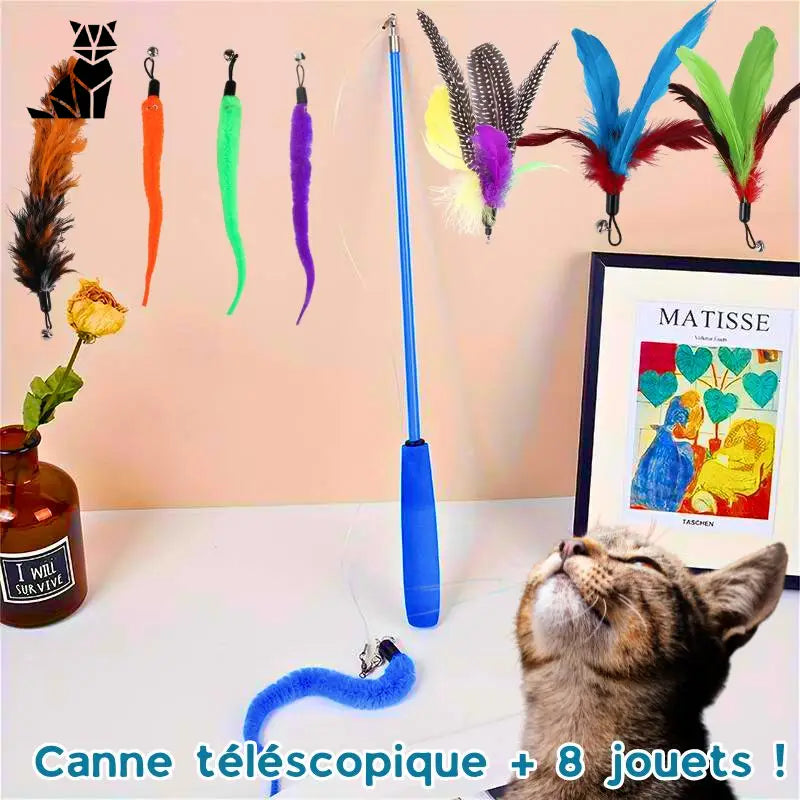 La canne magique pour chat ❘ Magicanne™