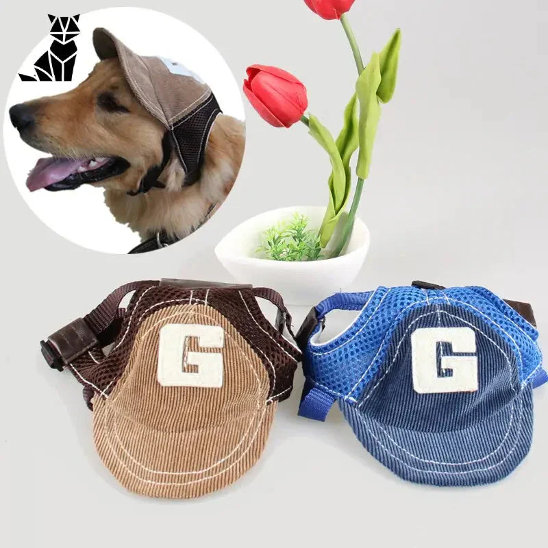 Chien stylé avec une casquette en jean sur fond de fleurs ; chapeau de chien chic et protecteur