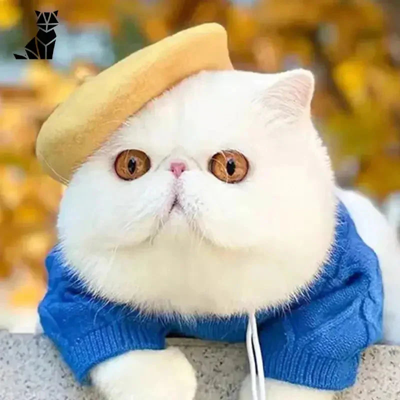 Élégant chapeau pour chat : Chat blanc coiffé d’un béret et vêtu d’un pull de la collection Stylish Beret Hat