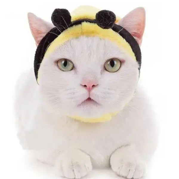 Chat blanc en costume d’abeille unique, chapeau de chat Maya L’Abeille : design confortable