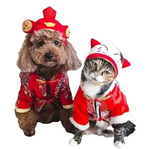 Chapeau pour Chat Temple Japonais Transparent Background