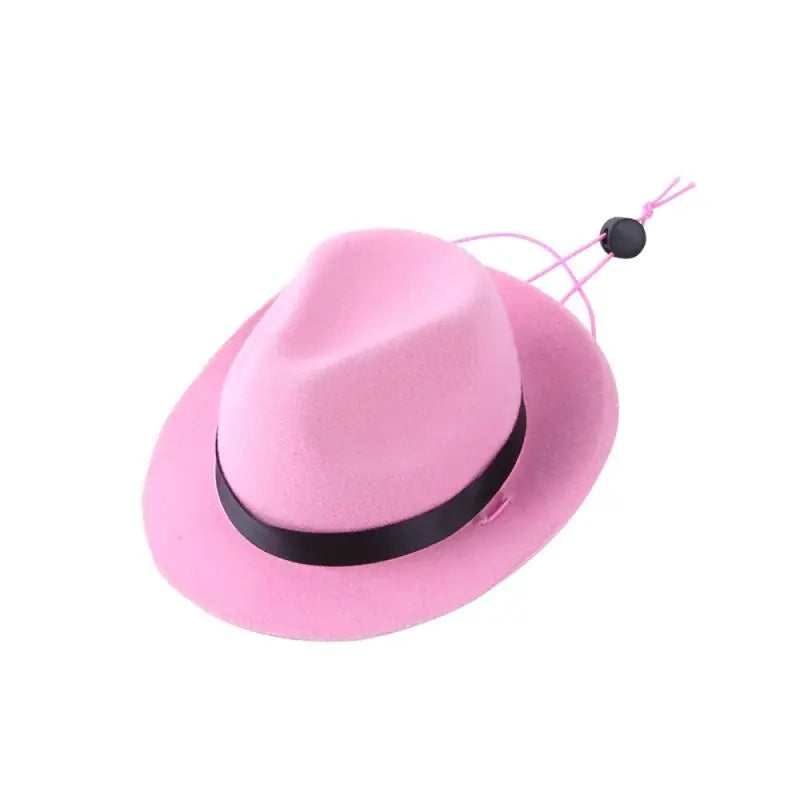 Chapeau rose avec bande noire - Chapeau de cow-boy amusant pour les animaux pour ajouter une touche ludique et mignonne