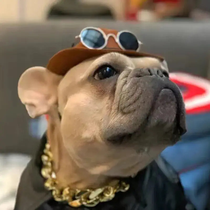 Chien portant des lunettes de soleil et un chapeau de cow-boy - chapeau élégant pour animaux de compagnie par Fun Cowboy Hat for Animals