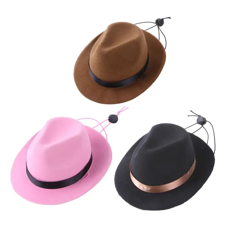 Trois chapeaux de cow-boy amusants pour les animaux : chapeaux noirs, roses et bruns