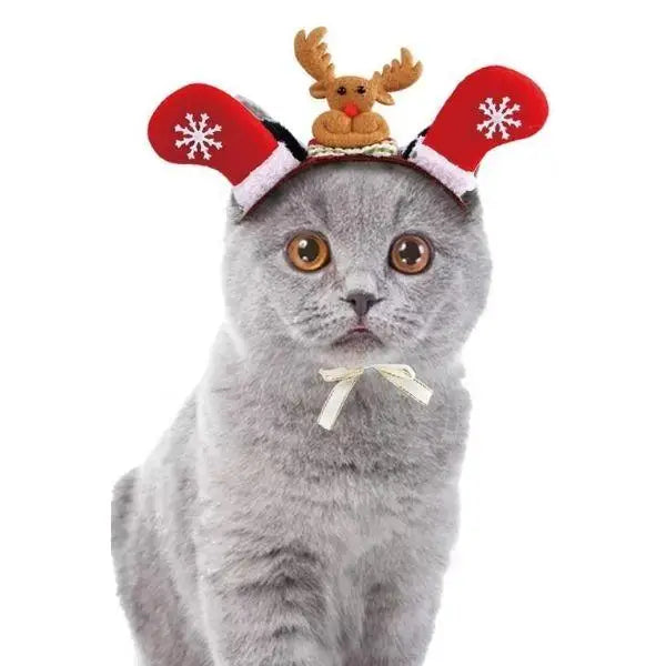 Chapeau pour Chat Fêtes de Noël