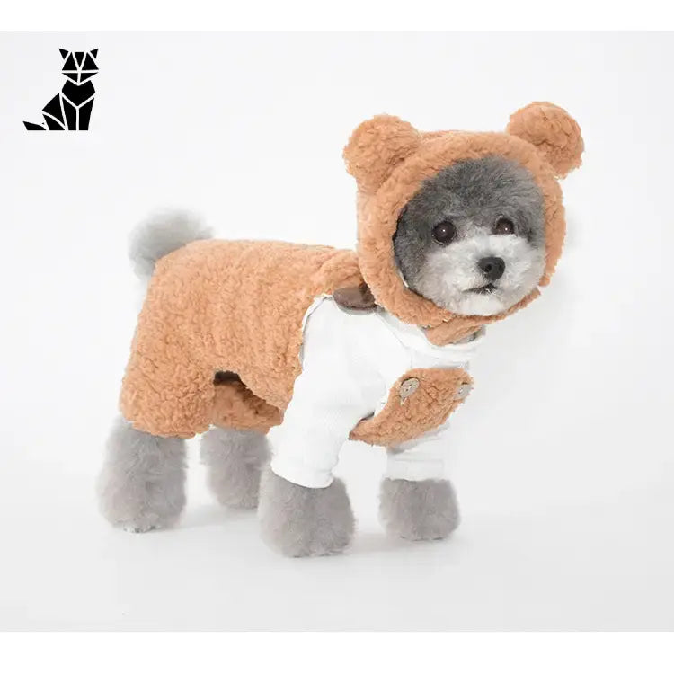 Bonnet pour Chien Oreilles & Costume