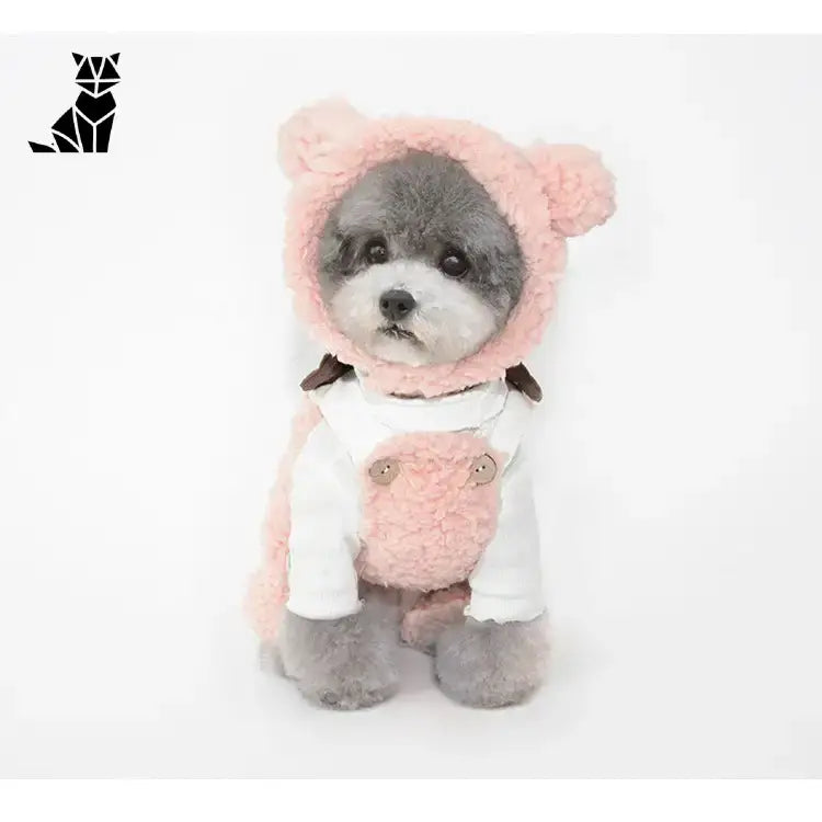 Bonnet pour Chien Oreilles & Costume
