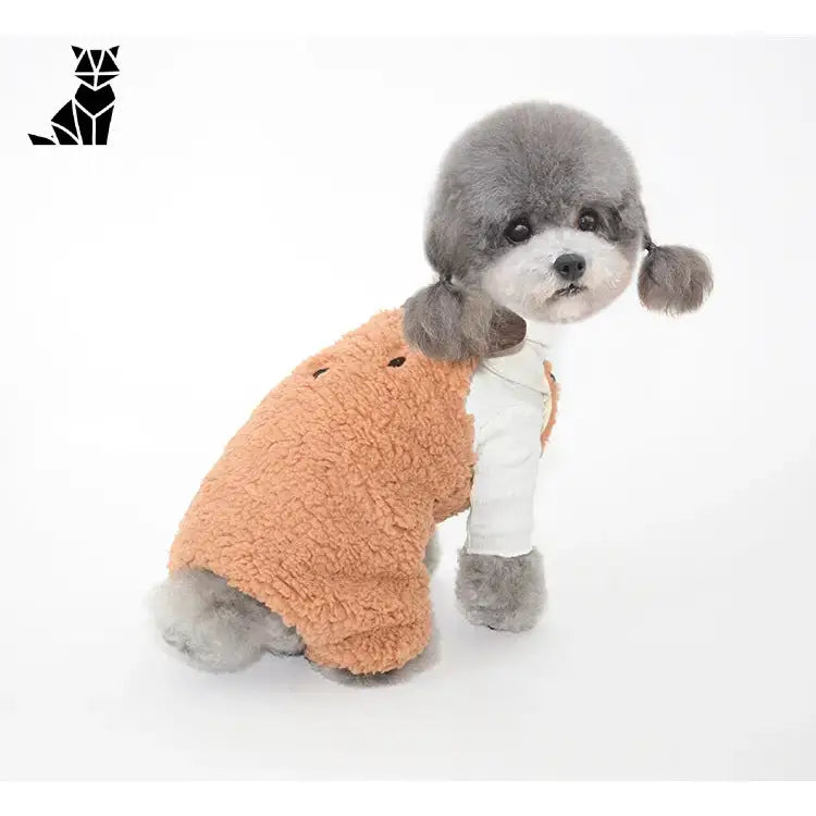 Bonnet pour Chien Oreilles & Costume