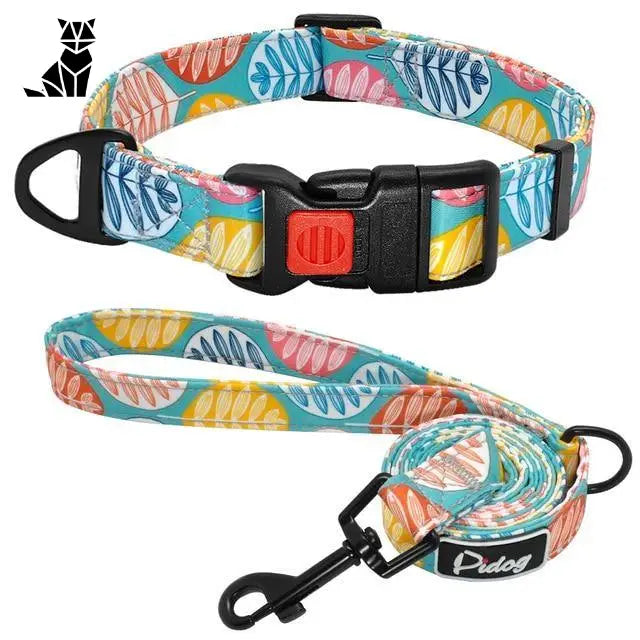 Collier Chien En Nylon Avec Laisse