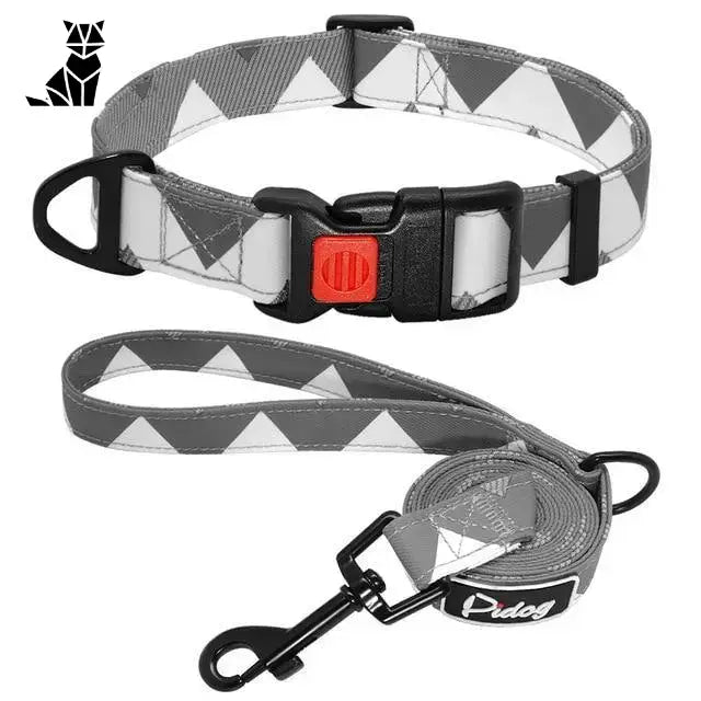 Collier Chien En Nylon Avec Laisse