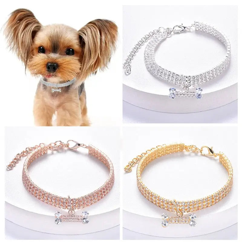 Collier pour chien en diamant avec pendentif en os - collier orné de luxe pour animaux de compagnie