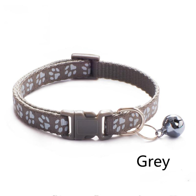 Collier coloré pour chat