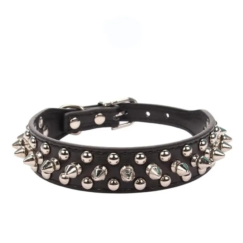 Collier pour American Staff