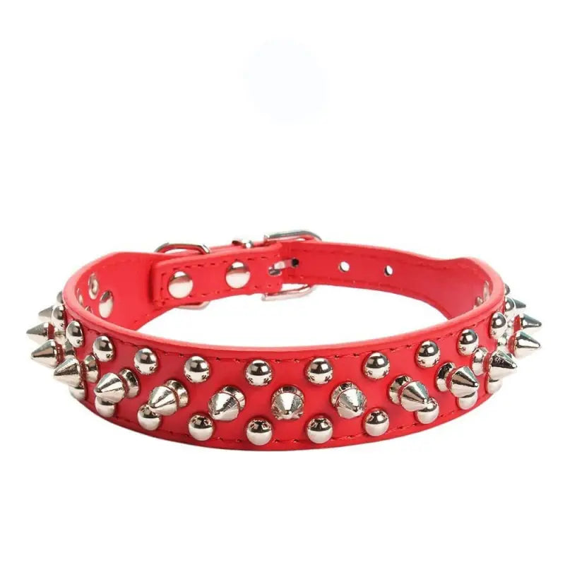 Collier pour American Staff