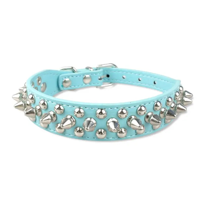 Collier pour Pitbull