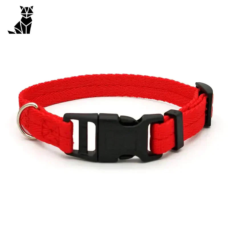 Collier pour Dobermann