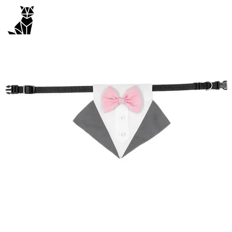 Chic papillon nœud collier pour chien - gros plan sur nœud et ceinture