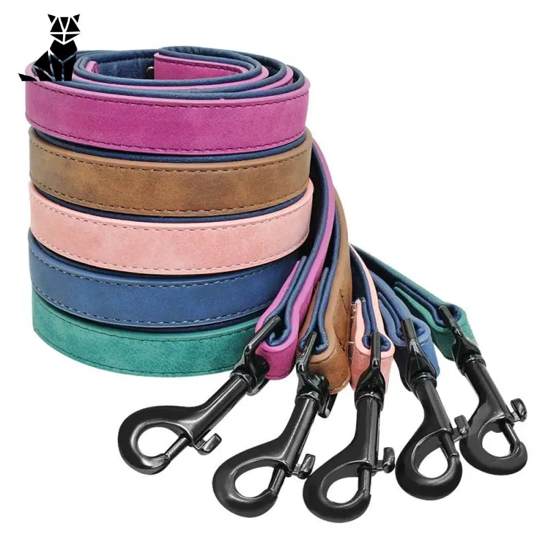 Collier Pour Chien En Cuir Personnalisable