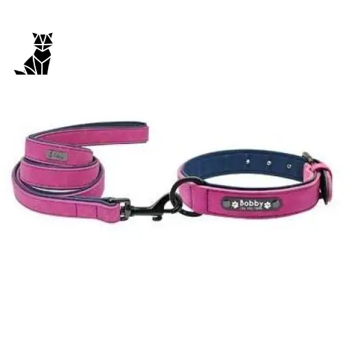 Collier Pour Chien En Cuir Personnalisable