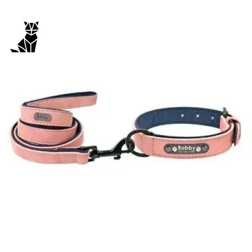 Collier Pour Chien En Cuir Personnalisable