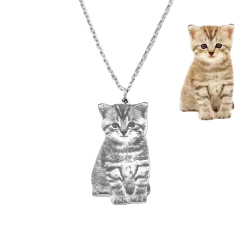 Collier Personnalisable Pour Chien / Chat En Argent Transparent Background