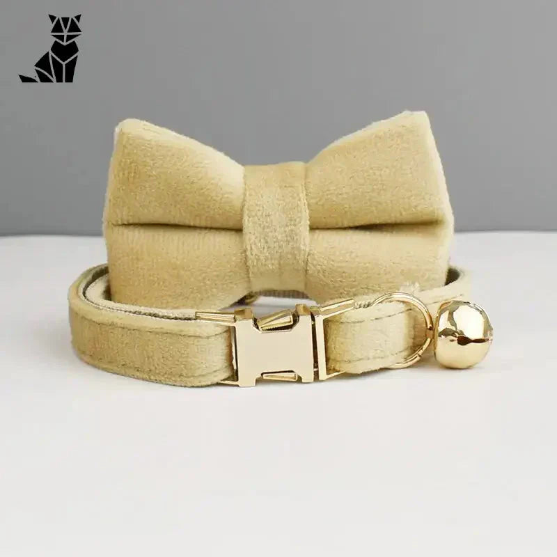 Ceinture nœud papillon en velours pratique avec boucle dorée pour le collier de votre chien bien-aimé