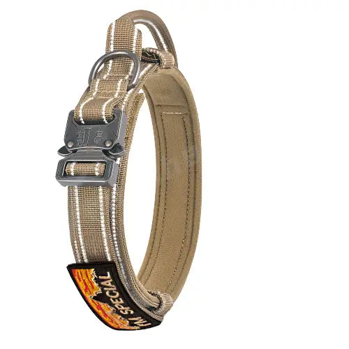 Collier pour Rottweiler