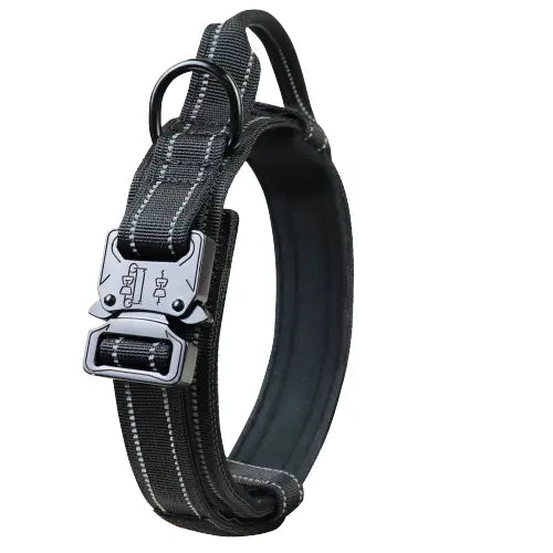 Collier pour Rottweiler