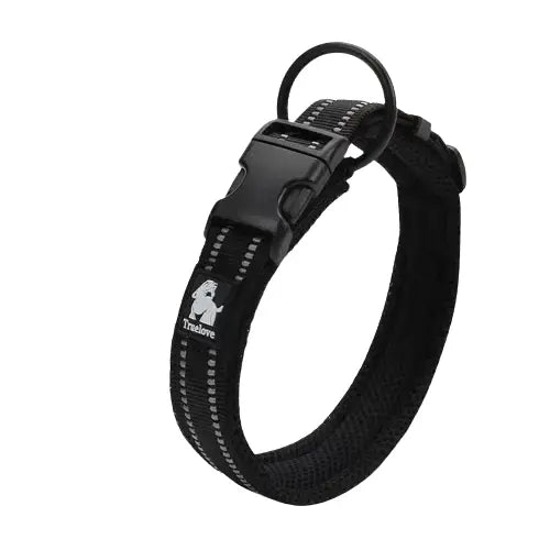 Collier Truelove pour chien Transparent Background