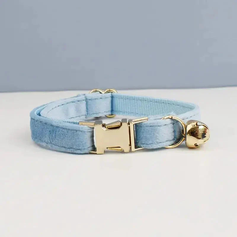 Collier pour chien en velours bleu avec des ferrures dorées, résistant à l’usure de Durable Velvet Cat Collar