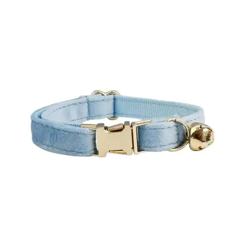 Collier pour chien en velours bleu avec des ferrures dorées, résistant à l’usure de Durable Velvet Cat Collar Transparent Background