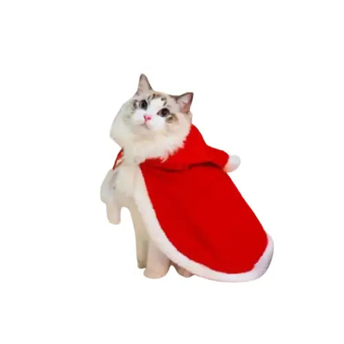 Costume de chat festif - Adorable chat coiffé d’un bonnet de Père Noël célébrant Noël au pied du sapin Transparent Background