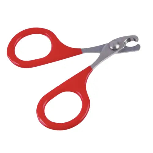 Coupe ongles pour chat Transparent Background