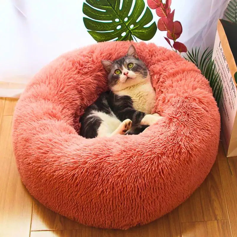 Coussin pour chat ❘ NuageCats™