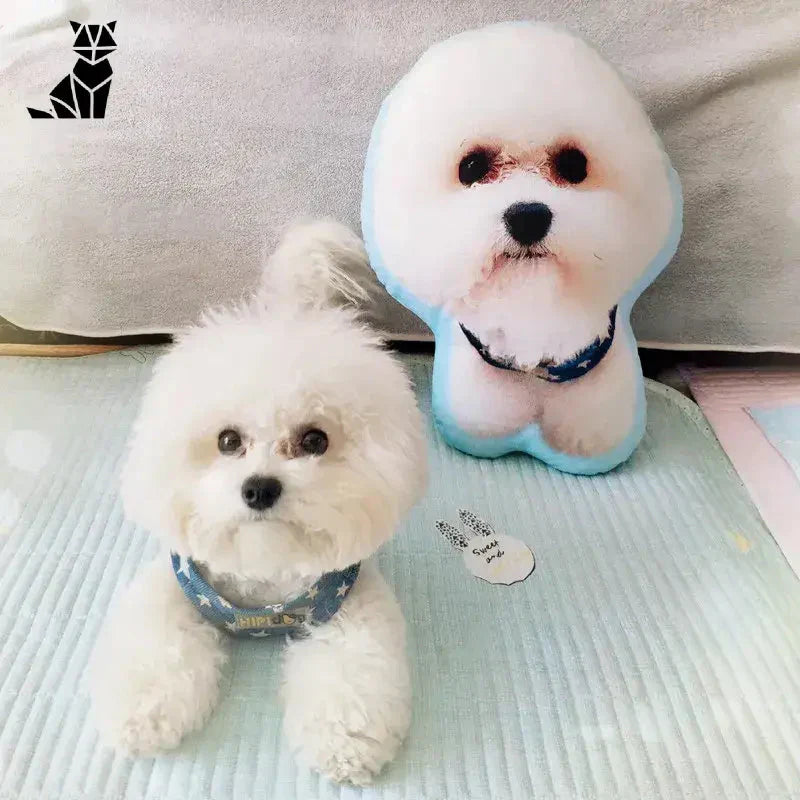 Petit chien blanc et animal en peluche avec Coussin Souvenir Confort - Personnalisable et Elégant